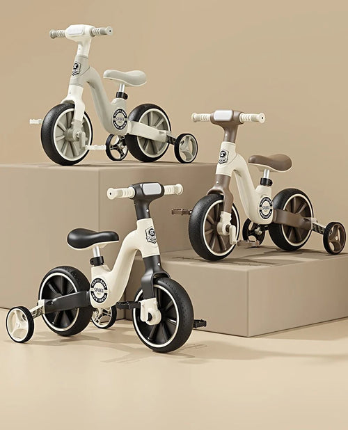 2-in-1 Kids Tricycle & Balance Bike for the baby (BD130)